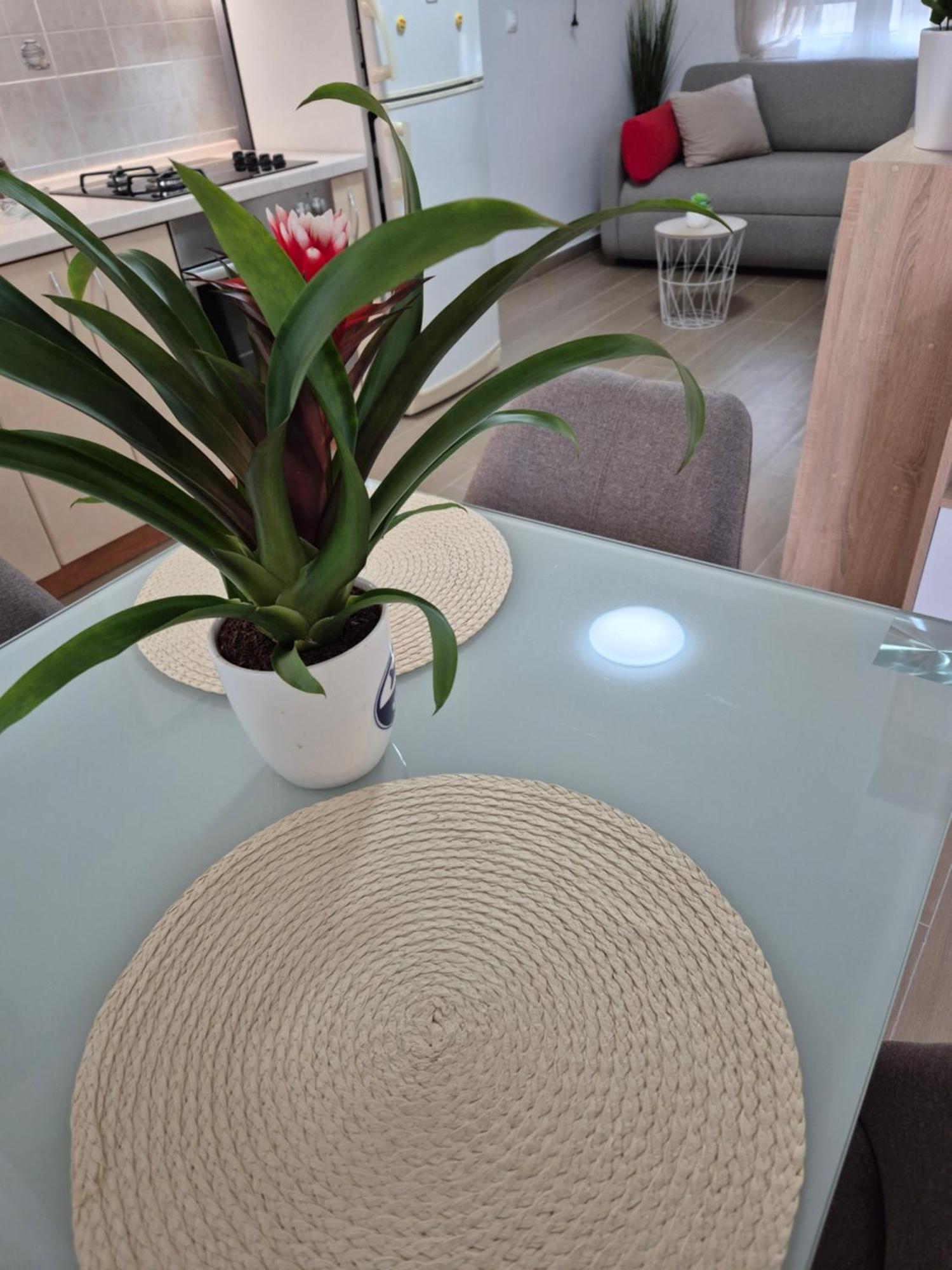 Apartments Duje สปลิท ห้อง รูปภาพ